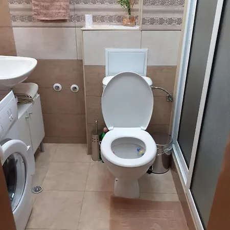 Apartment 8